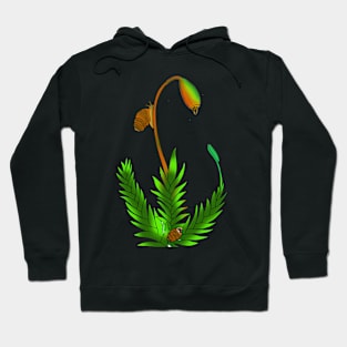 Vertigo loessensis Hoodie